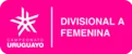 Giải bóng đá nữ Uruguay