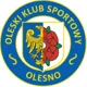 OKS Olesno