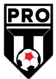 Pro Training Camp FC
