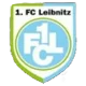 1. FC Leibnitz