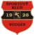 SK Svodin