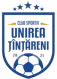 CS Unirea Tintareni