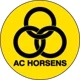 Horsens Reserve