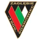 Zaglebie Sosnowiec U19