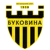 FC Bukovyna chernivtsi