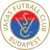 Vasas FC