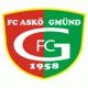 ASKO Gmund