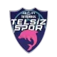 Telsizspor Women