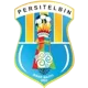 Persitelbin