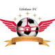 Lifofane FC