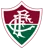 Fluminense RJ Youth