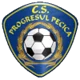 ACS Progresul Pecica