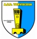 A.S.D. Torviscosa