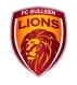 Bulleen Lions U23