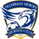 Techiman Heroes
