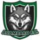 Acambaro FC