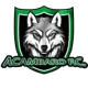 Acambaro FC