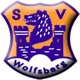 SV Wolfsberg