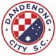 Dandenong City U23
