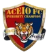 Aceio FC