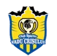 CS Vadu Crisului