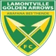 Golden Arrows Reserves