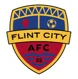 Flint City AFC Women