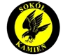 Sokol Kamien