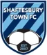 Shaftesbury Town