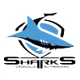 /images/football/team/df96c2552002826337bc941305f9c82b.webp!h80