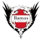 Llamas Kochi FC
