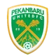Pekanbaru United