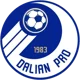 Dalian Professional(2009-2024)