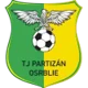 Partizan Osrblie