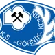 Gornik Konin
