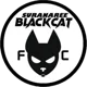 Suranaree Black Cat