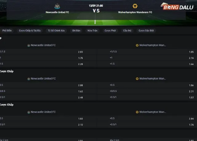Bảng tỷ lệ kèo trận Newcastle vs Wolves