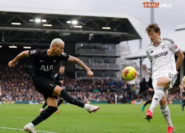 Tổng quan trận đấu Fulham vs Tottenham